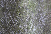 Upper Borth fibreglass roof work